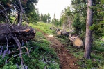 Baingtail Divide Trail_Justin Hardine_TM_1